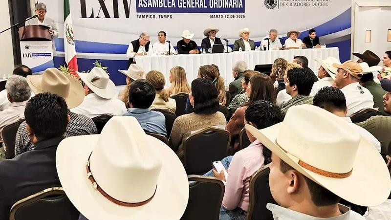 Ganaderos de México pierden 15,000 millones de pesos por suspensión de exportación por gusano barrenador