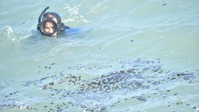 Manchas de hidrocarburo llegan al sur de Tamaulipas; se observan en el río Pánuco