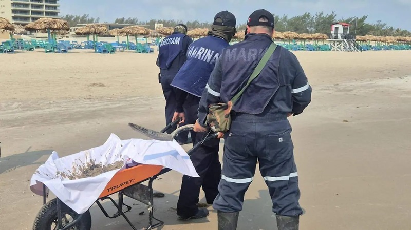 Aparece chapopote en Playa Miramar en Tamaulipas: retiran 200 kilos de residuos