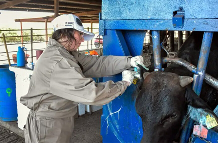 Inicia en Tamaulipas centro especializado para vigilar y controlar al gusano barrenador