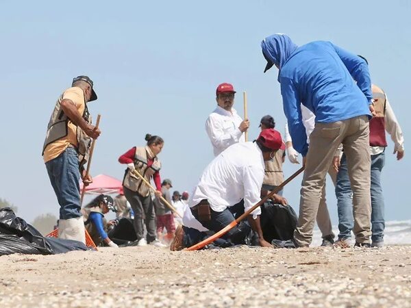 Con jornadas de empleo temporal limpian el petróleo en la costa de Tamaulipas