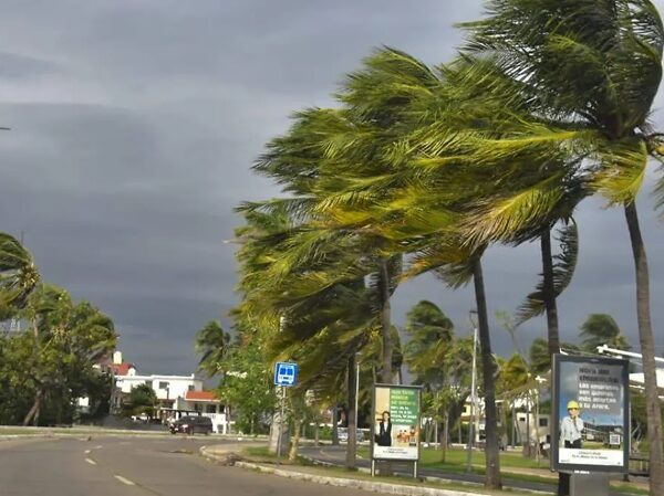 Frente frío 41 llegará a Tamaulipas con norte intenso y rachas de hasta 100 km/h