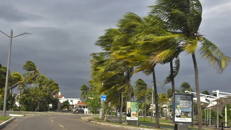 Frente frío 41 llegará a Tamaulipas con norte intenso y rachas de hasta 100 km/h