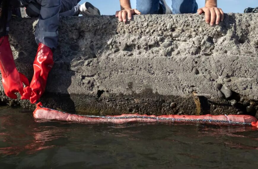 Recolectan cabello humano y de mascotas para contener y retirar petróleo del mar en Tamaulipas