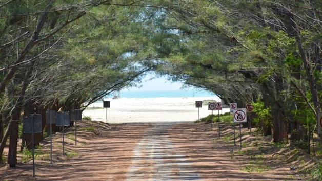 Visitantes deberán contar con previa autorización para ingresar a playa Tesoro