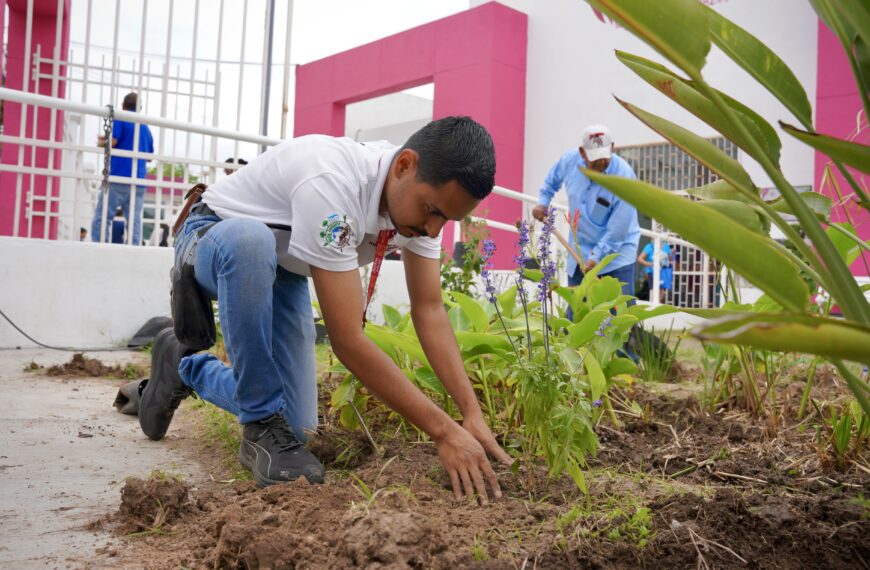 Gobierno municipal transforma áreas verdes con jardines que protegen abejas y mariposas