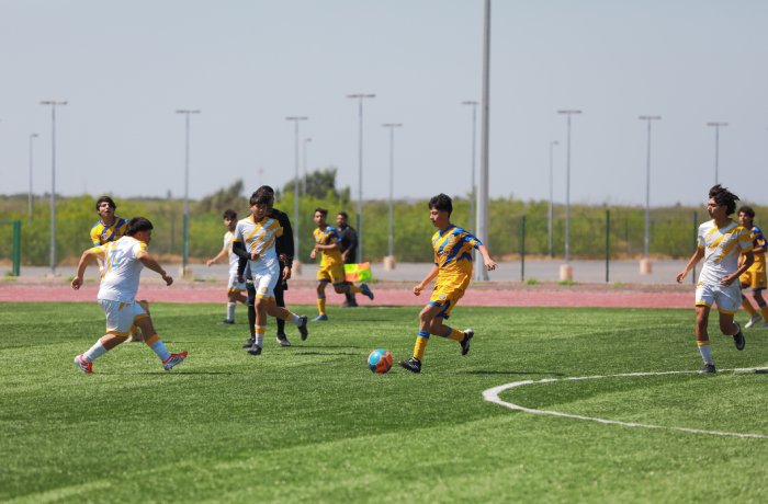 Youth soccer game on a sunny day: players in yellow and white chase the ball on a green field, a player in yellow about to kick.