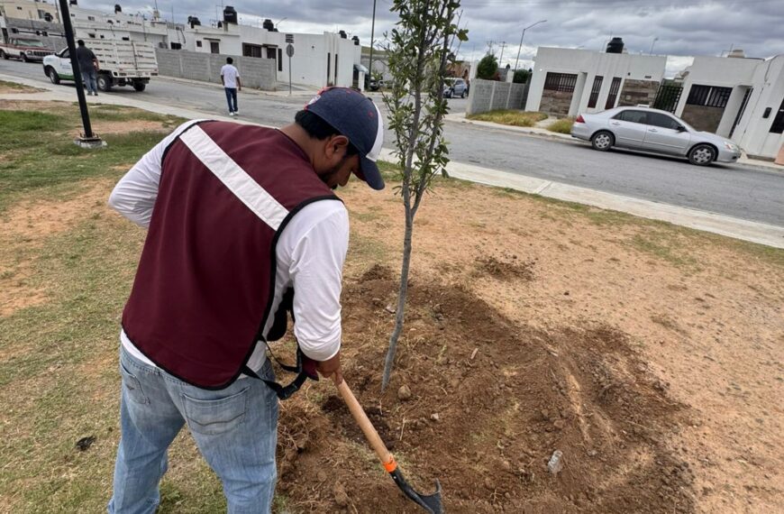 Gobierno municipal fortalece áreas verdes con jornada de reforestación en distintos sectores de la ciudad