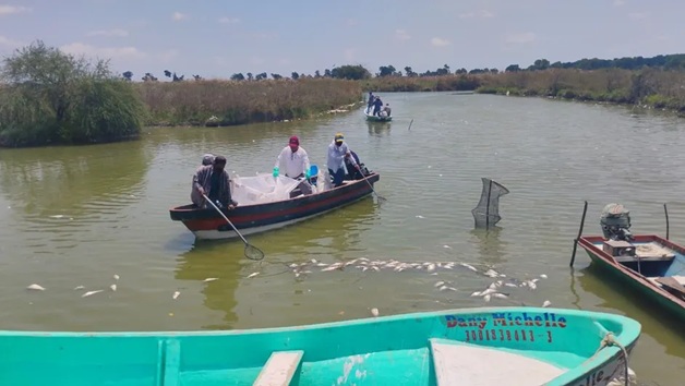Fishermen in a small boat netting fish on a calm river, with several fish surfacing nearby and a turquoise boat in the foreground with writing on its side.