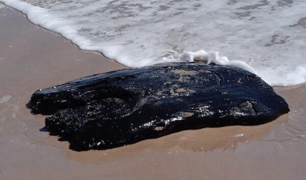 Contaminación abarca ya todo Tamaulipas; detectan segunda mancha de crudo en Playa Bagdad de Matamoros