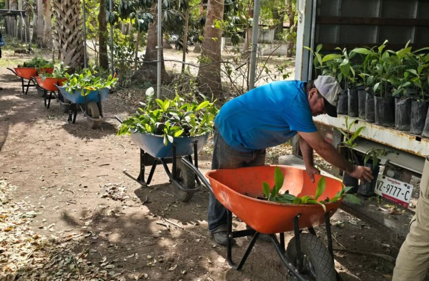 Nuevo Laredo comienza proyecto de reforestación con 1,500 árboles nativos