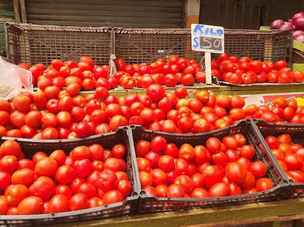 Assorted red tomatoes in black crates at an outdoor market, with a handwritten price sign 'Kilo 50'.”,