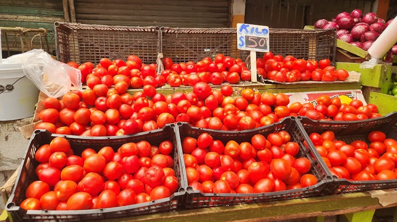 Assorted red tomatoes in black crates at an outdoor market, with a handwritten price sign 'Kilo 50'.”,