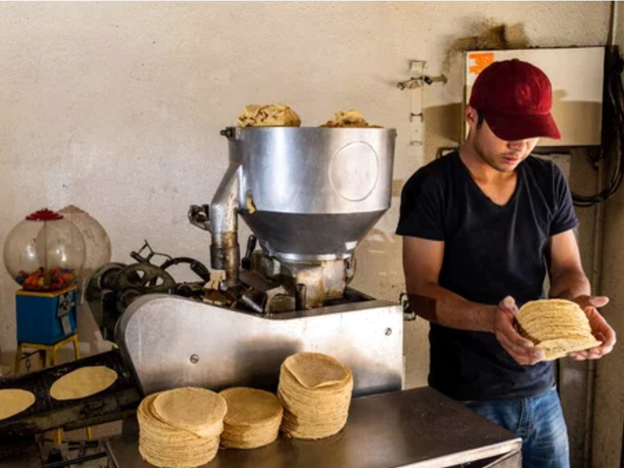 Man in a red cap holding a stack of tortillas beside a large industrial tortilla press in a bakery shop gallery.