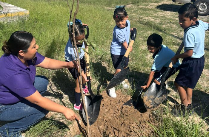 Teacher and four children plant a sapling in a dirt patch outdoors. The group works with shovels on a sunny day.