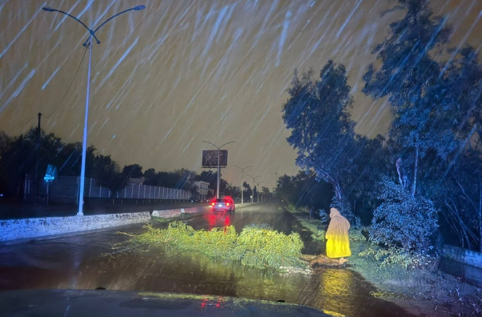 Nighttime storm scene: a fallen tree branch blocks a rain-soaked road, a car with red taillights paused, and a person in a yellow raincoat nearby.