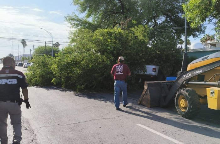 Two workers stand on a sunny street beside a pile of branches and a skid-steer loader, blocking traffic behind them.