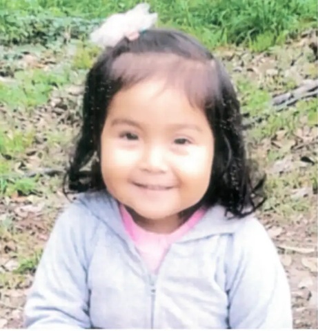 Smiling young girl with dark hair wearing a light gray jacket, outdoors among green plants and leaves.