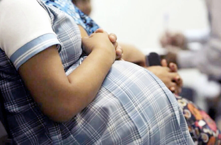 Pregnant woman resting her hands on her baby bump, wearing a blue plaid shirt.