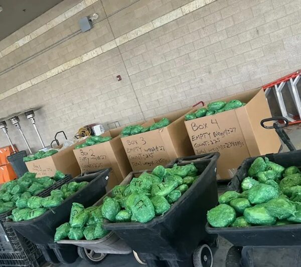 Loading bay with black carts full of green bags and cardboard boxes labeled Box 2–4 nearby a red ladder.