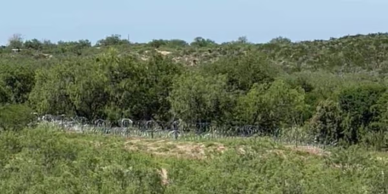 Rural landscape with green shrubs and trees; a barbed-wire fence runs across the midground.